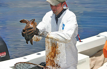 Bay scientists: Offshore oil drilling would put Chesapeake Bay at risk